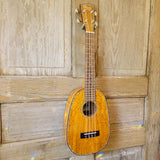Ohana Concert Pineapple PKC-220G All Solid Mango Ukulele v105