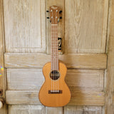 Ohana Concert CK-50WG Solid Cedar Top / Laminate Willow Gloss Ukulele h111