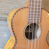 Ohana Concert CK-50WG Solid Cedar Top / Laminate Willow Gloss Ukulele h111