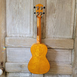 Ohana Concert CK-50WG Solid Cedar Top / Laminate Willow Gloss Ukulele h112