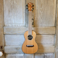 Ohana Concert CK-260G All Solid Cedar / Acacia Ukulele v175