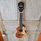 KoAloha Tenor Naupaka All Solid Koa & Mango KTNP-00 Gloss Made in Hawaii Ukulele w/ KoAloha Brand Hardcase v203
