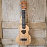 KoAloha Concert All Solid Mango KCM-10MG Pikake Satin Finish Made in Hawaii Ukulele w/ Hardcase v205