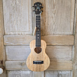 KoAloha Concert All Solid Mango KCM-00MG Gloss Made in Hawaii Ukulele w/ Hardcase v206