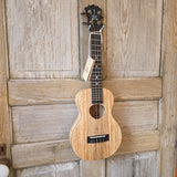KoAloha Concert All Solid Mango KCM-00MG Gloss Made in Hawaii Ukulele w/ Hardcase v206