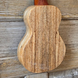 KoAloha Concert All Solid Mango KCM-00MG Gloss Made in Hawaii Ukulele w/ Hardcase v206