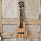 KoAloha Tenor All Solid Mango Gloss KTM-00MG Made in Hawaii Ukulele w/ Hardcase v207