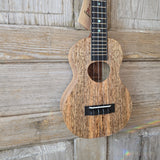 KoAloha Tenor All Solid Mango Gloss KTM-00MG Made in Hawaii Ukulele w/ Hardcase v207