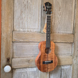 KoAloha Tenor Slimline All Solid Koa KTM-S00 Gloss Ukulele w/ Thinline Hard Case v211