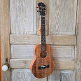 KoAloha Tenor Slimline All Solid Koa KTM-S00 Gloss Ukulele w/ Thinline Hard Case v211