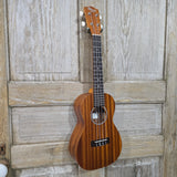 Ohana Concert CK-10 Starter Pack Laminate Mahogany Ukulele, Bag, Tuner, Strap, Button v321