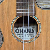 Ohana Concert CK-260GCE All Solid Cedar / Acacia A/E Cutaway Ukulele v352