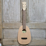 Ohana Concert Pineapple PKC-KIT DIY Kit Laminate Mahogany Do It Yourself Paintable Ukulele