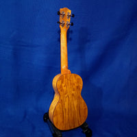 Ohana Concert CK-50WG Blem Solid Cedar Top / Laminate Willow Gloss Ukulele u204